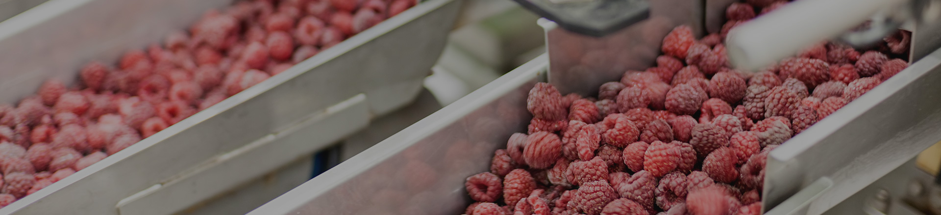 关于PA视讯官方网站